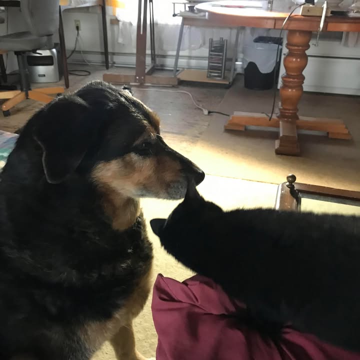 473926111_1125846502511129_2010555762286278207_n